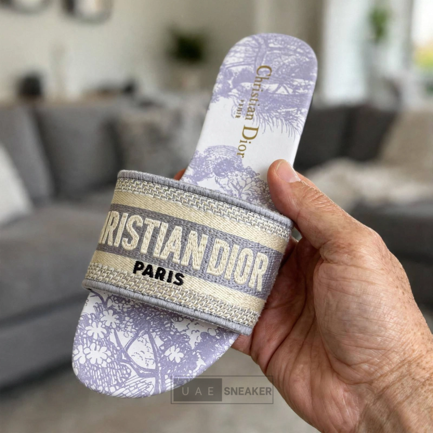 Christian Dior Dway Slides Grey Toile