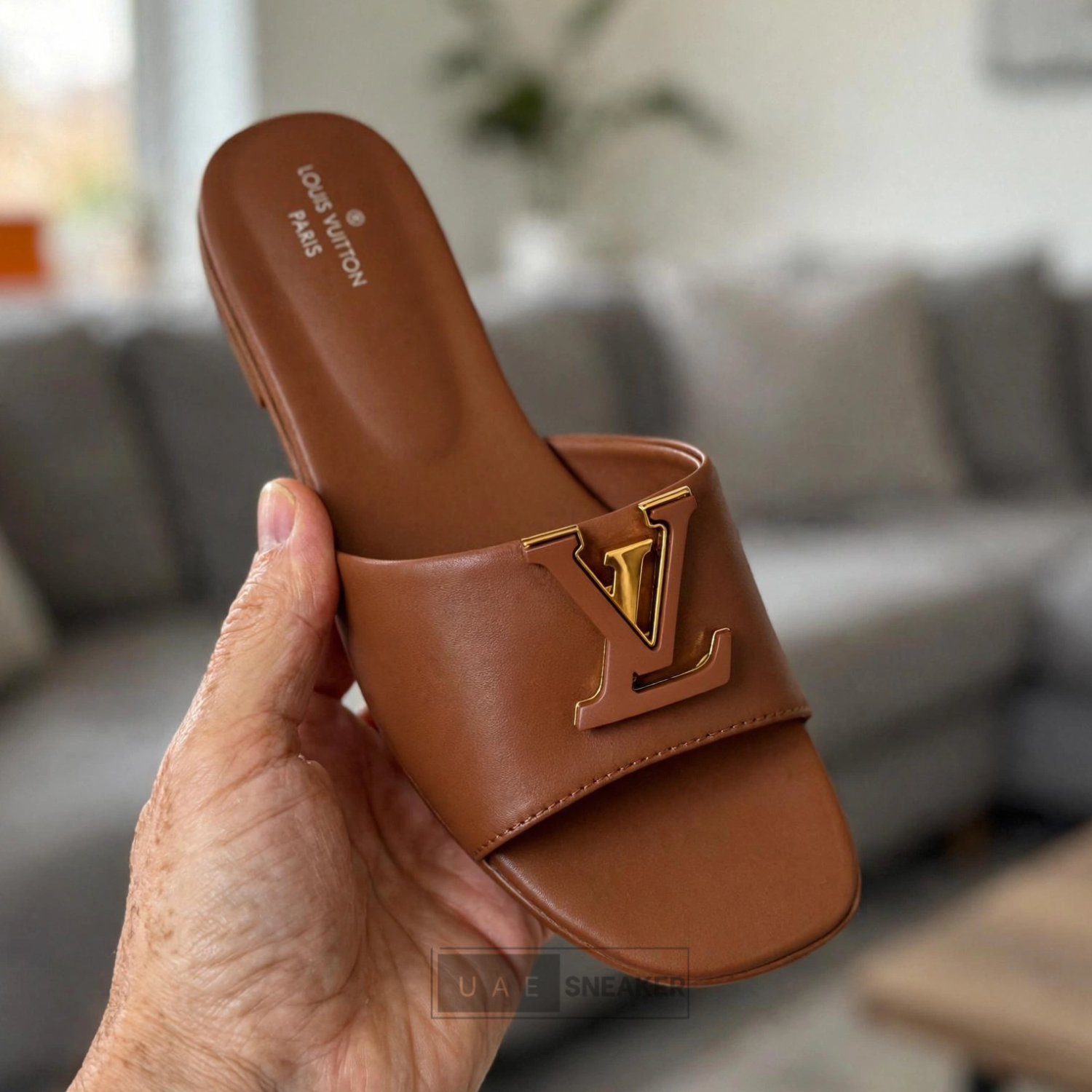 Louis Vuitton Capri Flat Brown