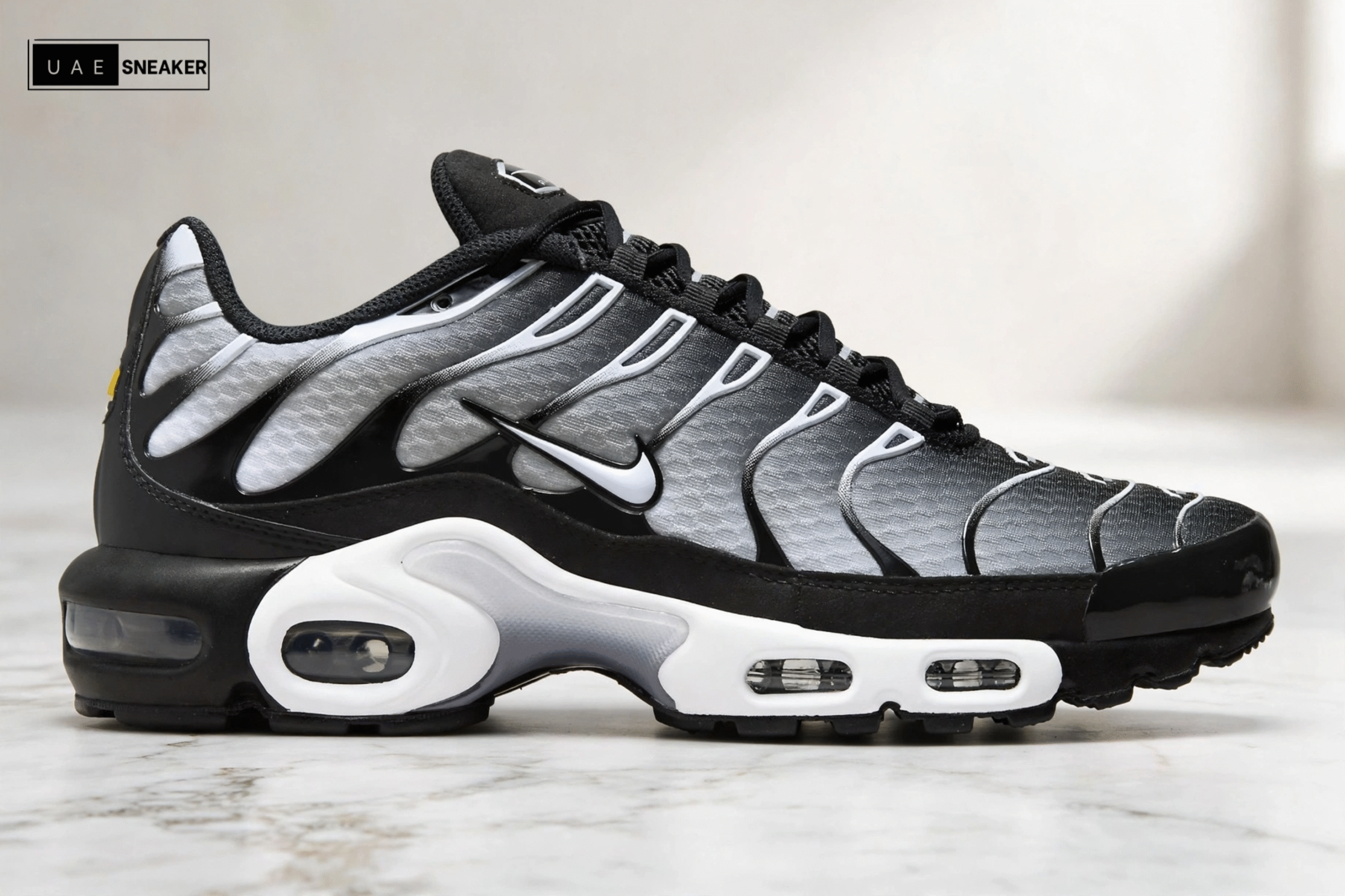 Nike Air Max Plus Black Silver White