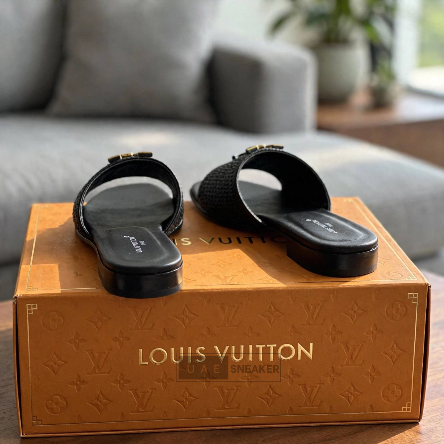 Louis Vuitton LV Mare Flat Grain Black - Image 2