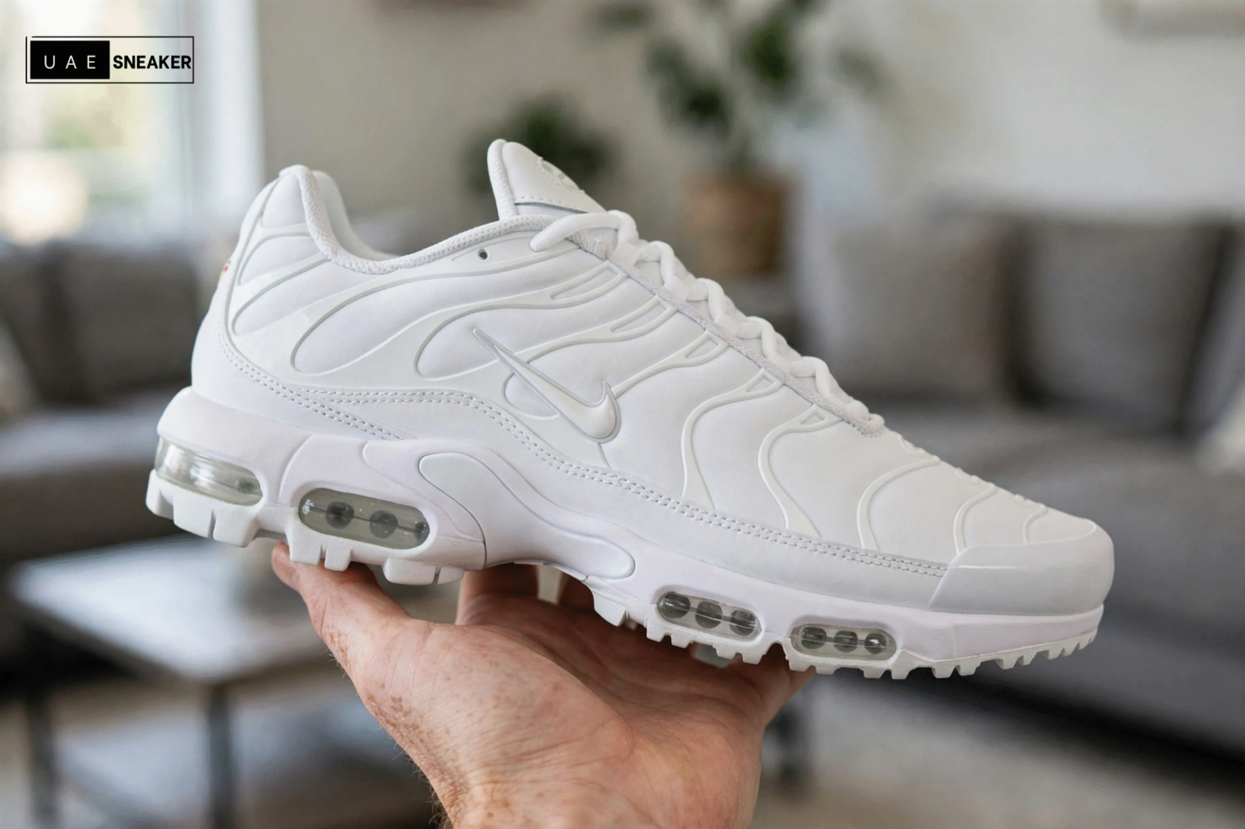 Nike Air Max Plus White Pure Platinum - Image 2