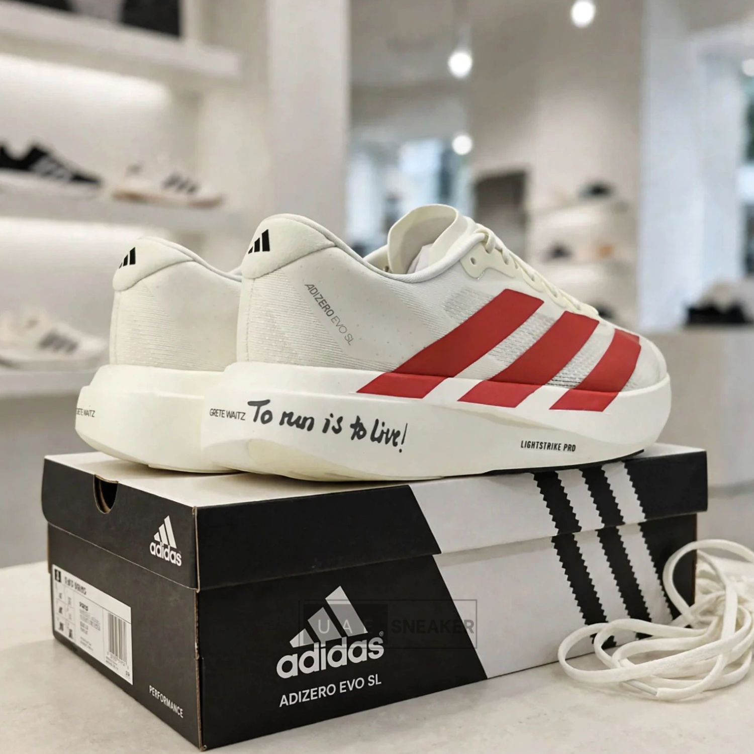 Adidas Adizero EVO SL Off White Better Scarlet - Image 3