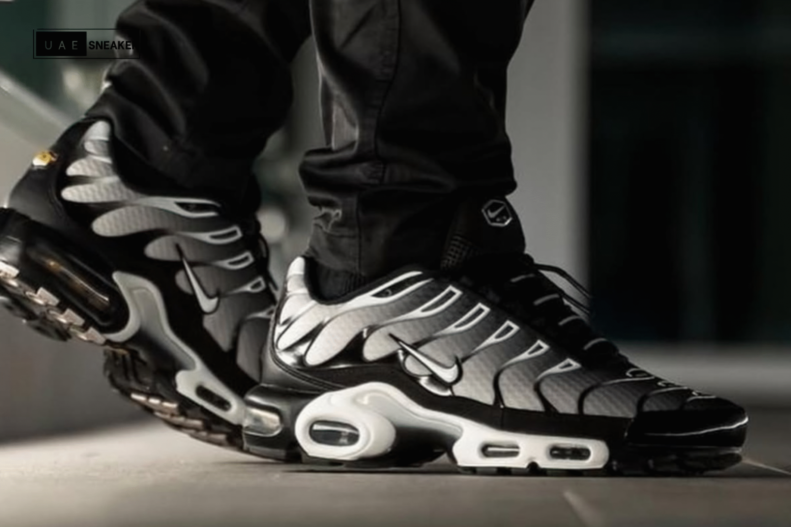 Nike Air Max Plus Black Silver White - Image 6