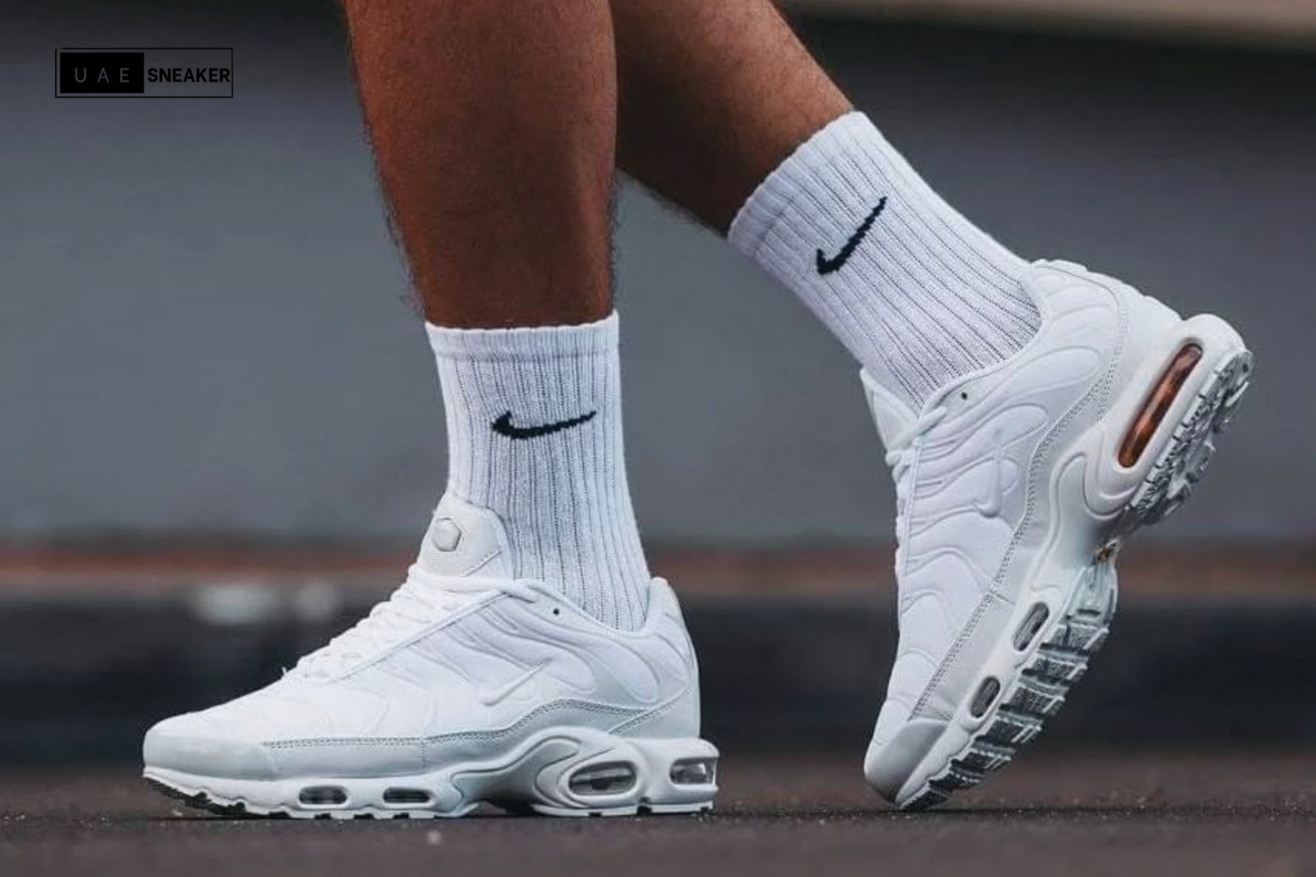 Nike Air Max Plus White Pure Platinum - Image 6
